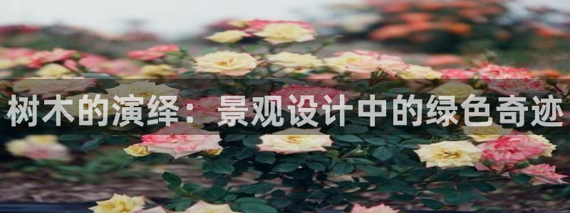 泉州摩根娱乐会所电话号码