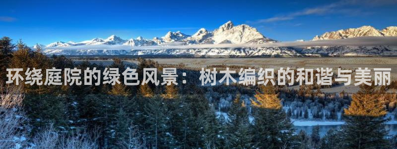 香港摩根娱乐宝