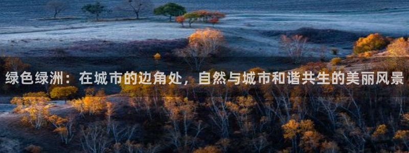 摩根娱乐二三事