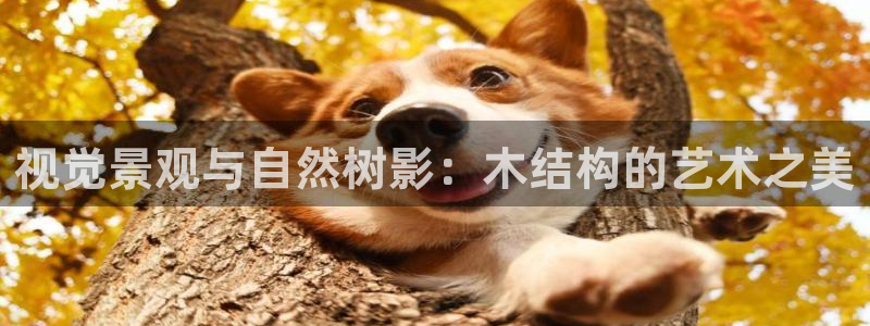 摩根娱乐宝微交易