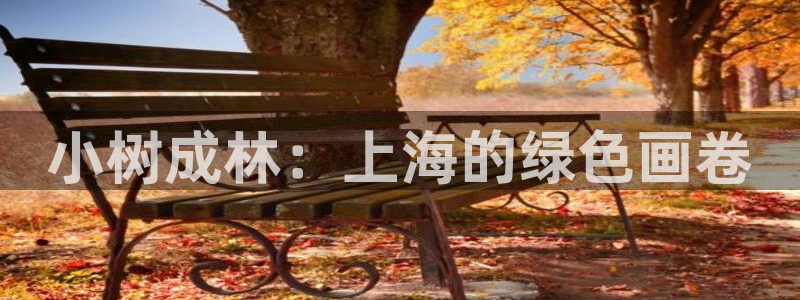 摩根娱乐是真的呀