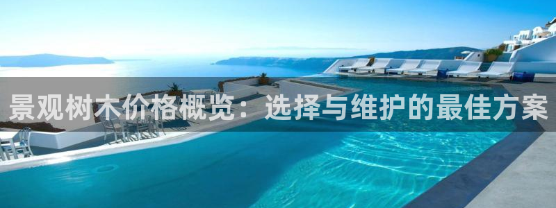 摩根士丹利娱乐银行