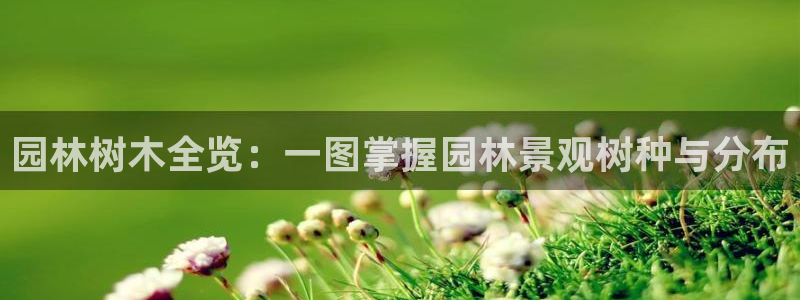 摩根会娱乐会所