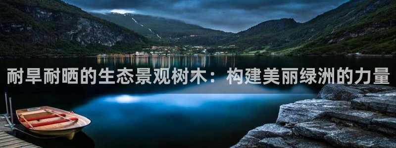 摩根娱乐宝下载