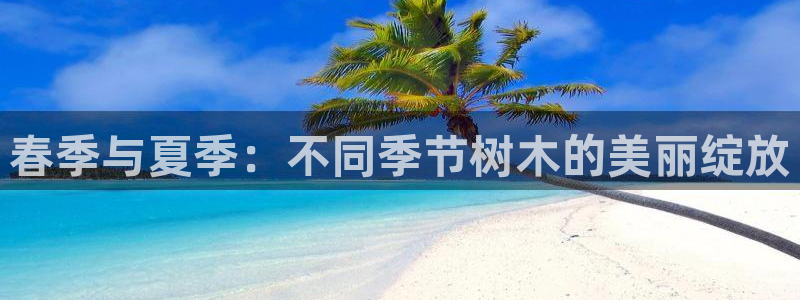 摩根国际亚太娱乐宝