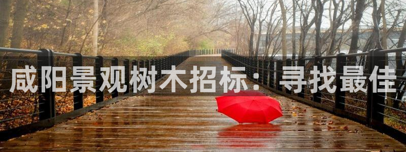 摩根 娱乐宝骗了我