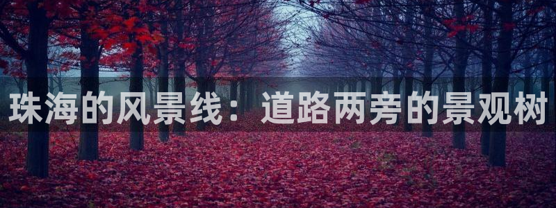 义乌摩根国际娱乐会所