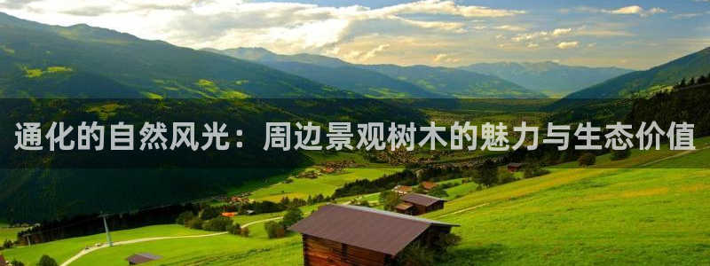 摩根娱乐挂机项目是什么