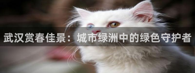 泉州摩根娱乐会所电话地址