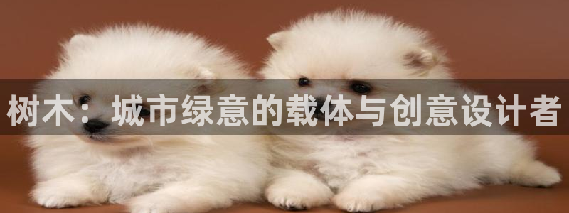 摩根娱乐黑别人网站