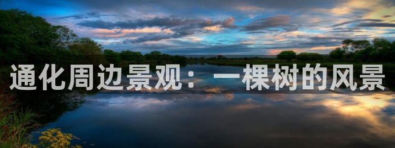 摩根娱乐宝的代理方式:通化周边景观:一棵树的风景