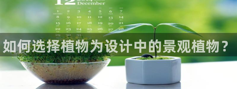 嘉兴摩根大饭店 娱乐