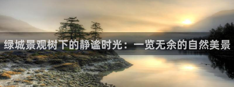 摩根娱乐宝总部