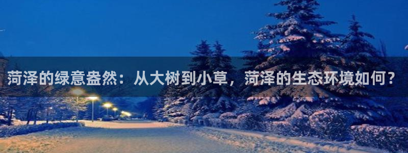 摩根娱乐云挂机项目怎么下载