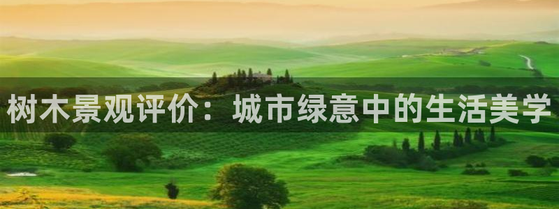 摩根国际娱乐宝官网