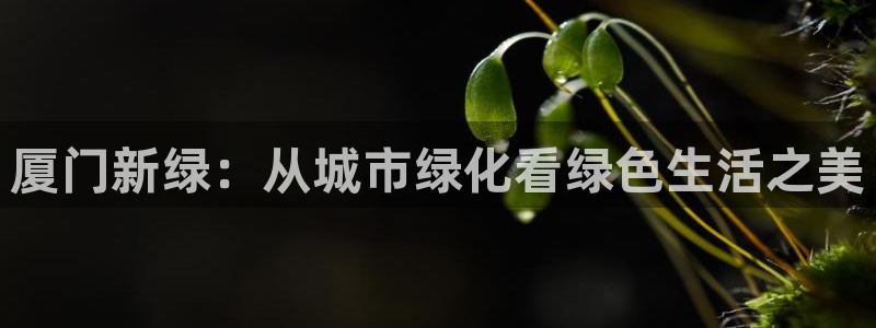 摩根娱乐会所招少爷么