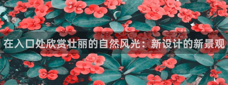 芜湖摩根一百有哪些娱乐