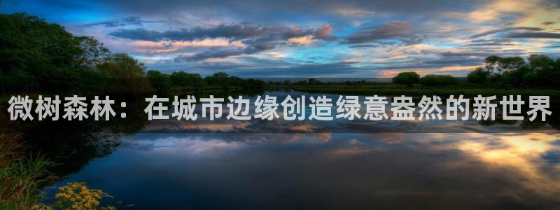 摩根娱乐开户总s管50015 15