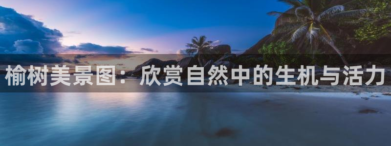 摩根娱乐宝可靠不