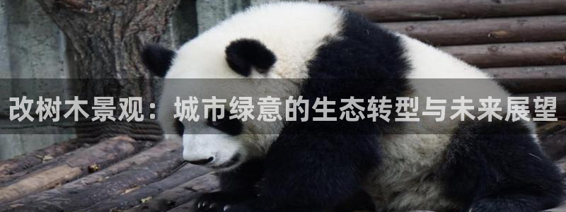 摩根娱乐云挂机项目怎么下载