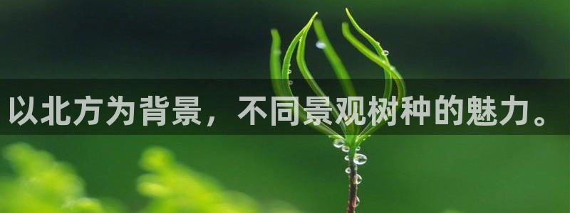 摩根娱乐宝合法吗