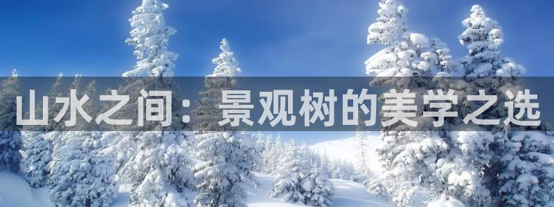 摩根娱乐宝杀单吗