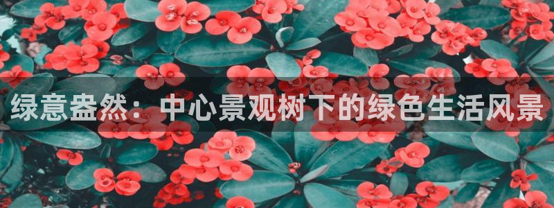 摩根娱乐宝 怎么样