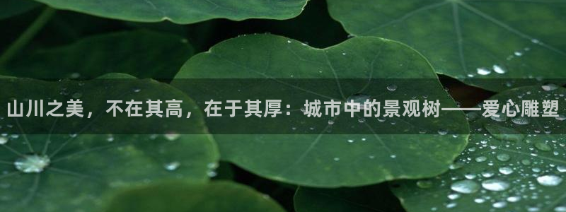 摩根娱乐 股s东50015