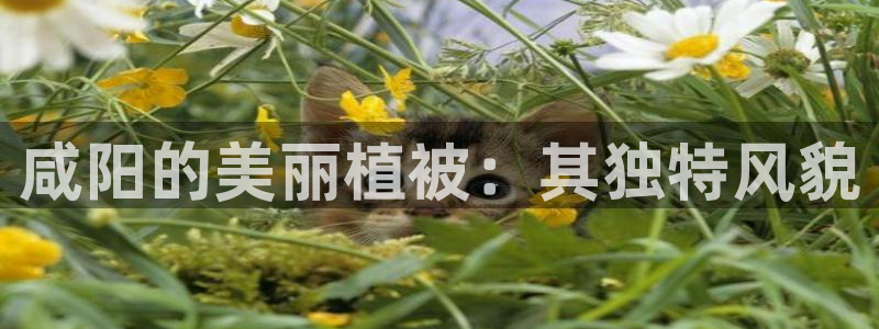 泉州摩根会娱乐保安招聘