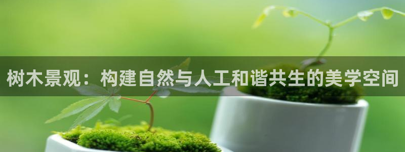 华视娱乐摩根王琛