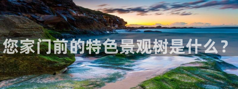 摩根国际娱乐宝官网下载