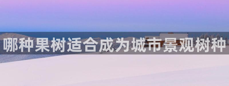 摩根国际娱乐宝在哪里